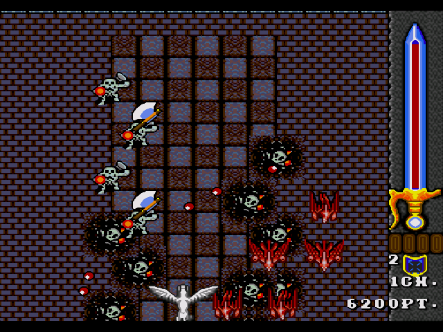 PHELIUS MD - Image 5