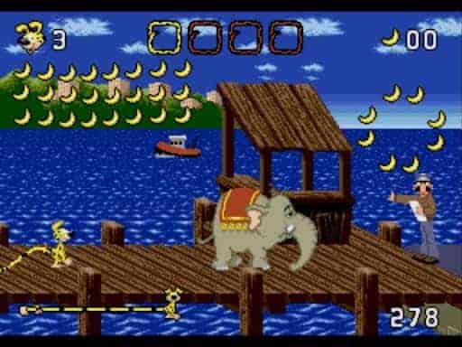 MARSUPILAMI MD - Image 5