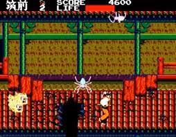 KENSEIDEN MS - Image 7