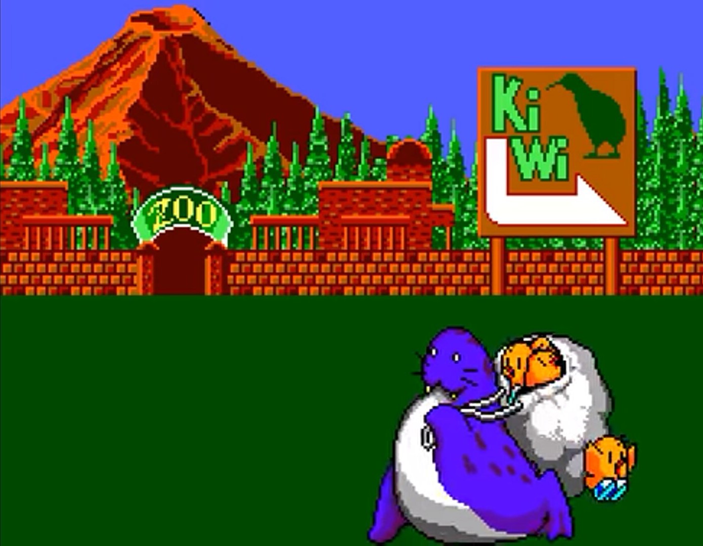 THE NEWZEALAND STORY MS - Image 4