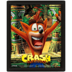 QUADRO LENTICULAR CRASH BANDICOOT (25CMX20CM)