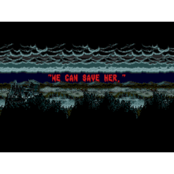 SPLATTERHOUSE 2 MD IG2