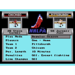 NHLPA HOCKEY 93 MD IG3