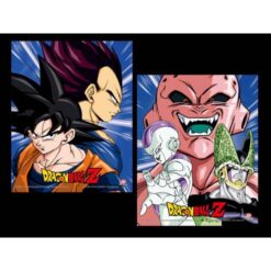 QUADRO POSTER 3D DRAGON BALL Z PROTECTORS DESTROYERS 2