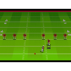 JOHN MADDEN FOOTBALL 93 MD IG1