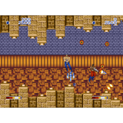 FORGOTTEN WORLDS MD IG2