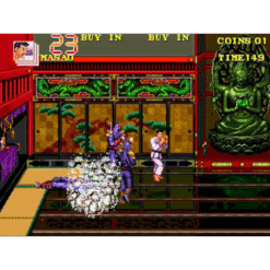 DOUBLE DRAGON 3 ROSETTA STONE MD IG3