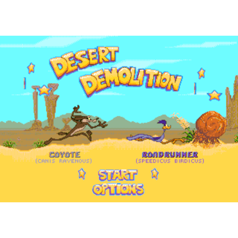 DESERT DEMOLITION STARRING ROAD RUNNER AND WILE E. COYOTE MD - Image 2