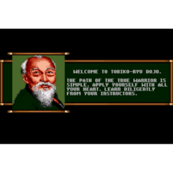 BUDOKAN THE MARTIAL SPIRIT MD IG2