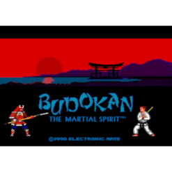 BUDOKAN THE MARTIAL SPIRIT MD IG1