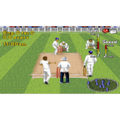 BRIAN LARA CRICKET 96 MD IG1