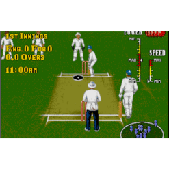 BRIAN LARA CRICKET MD IG3