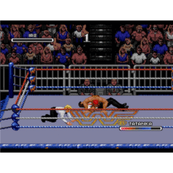 WWF RAGE IN THE CAGE CD