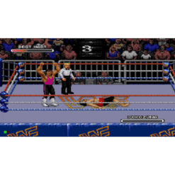 WWF RAGE IN THE CAGE CD3