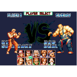 FATAL FURY SPECIAL MEGA CD3