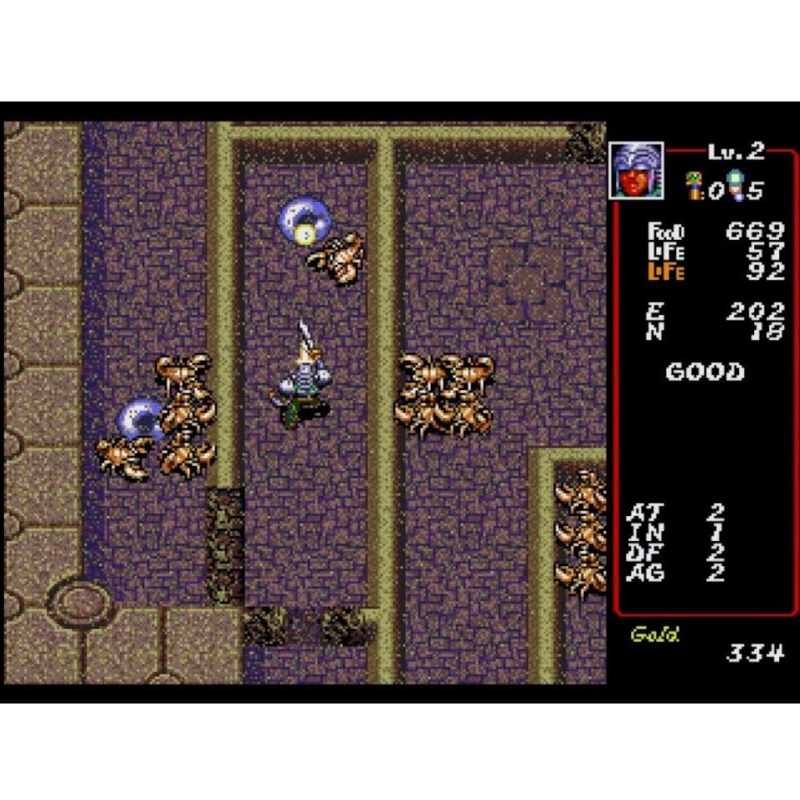 DUNGEON EXPLORER MEGA CD - Image 3