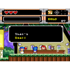 WONDER BOY IN MONSTER WORLD MD IG3