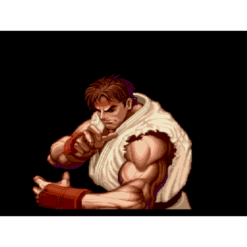 SUPER STREET FIGHTER II THE NEW CHALLENGERS MD IG3