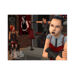 OS SIMS 2 ESTILO TEEN ACESSORIOS PC SEMI NOVO IG2