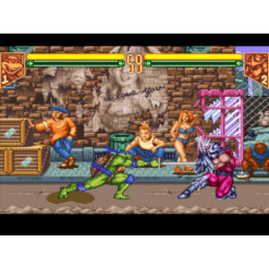 TEENAGE MUTANT NINJA TURTLES TOURNAMENT FIGHTERS SN IG1