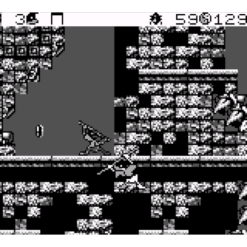 MAUI MALLARD IN COLD SHADOW GB IG1