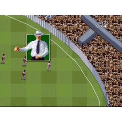 SUPER INTERNATIONAL CRICKET SN IG1