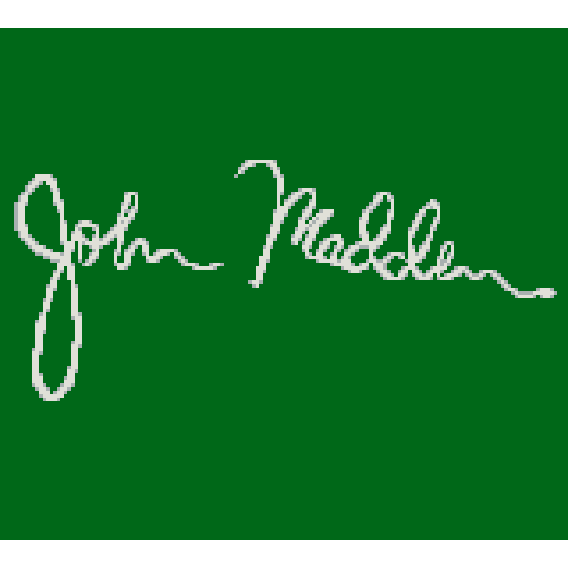 MADDEN 95 GB - Image 2