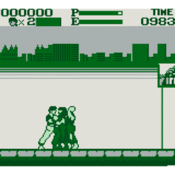 KUNGFU MASTER GB IG2