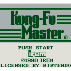 KUNGFU MASTER GB IG3