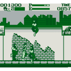 KUNGFU MASTER GB IG1