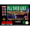 PGA TOUR GOLF SN FC