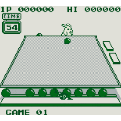 KING OF THE ZOO GB IG2