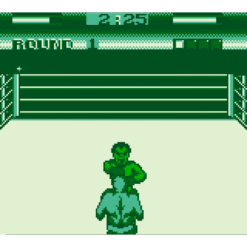 GEORGE FOREMANS KO BOXING GB IG2