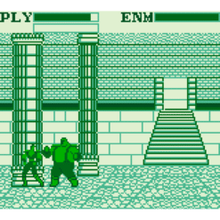 FIST OF THE NORTH STAR 10 BIG BRAWLS FOR THE KING OF THE UNIVERSE GB IG2