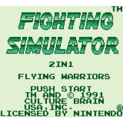 FIGHTING SIMULATOR 2 IN 1 FLYING WARRIORS GB IG3