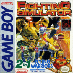 FIGHTING SIMULATOR 2-IN-1 FLYING WARRIORS GB