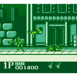 DOUBLE DRAGON GB IG3