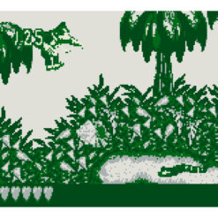 DONKEY KONG LAND GB IG2