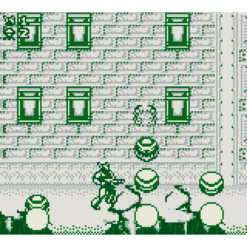 PROBOTECTOR 2 GB IG3