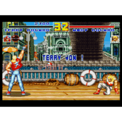FATAL FURY SPECIAL SN IG1