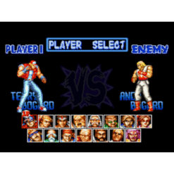FATAL FURY SPECIAL SN IG3