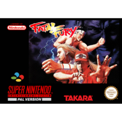 FATAL FURY SN