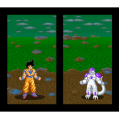 DRAGON BALL Z SUPER BUTODEN SN IG2