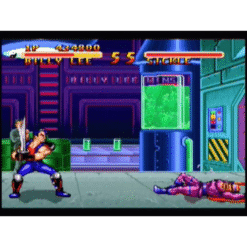 DOUBLE DRAGON V THE SHADOW FALLS SN IG3