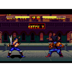 DOUBLE DRAGON V THE SHADOW FALLS SN IG1
