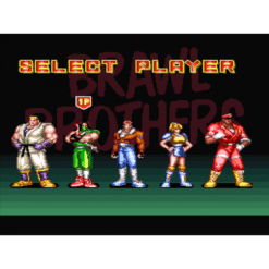 BRAWL BROTHERS SN IG2
