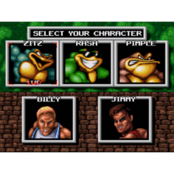BATTLETOADS DOUBLE DRAGON SN IG1