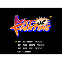 ART OF FIGHTING SN IG1