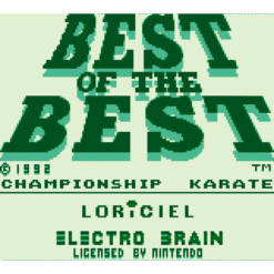 BEST OF THE BEST CHAMPIONSHIP KARATE GB IG3