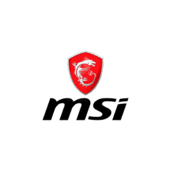 MSI
